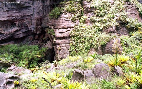 Formazione rocciosa, Venezuela