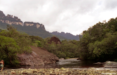 Canyon Tepui, Venezuela