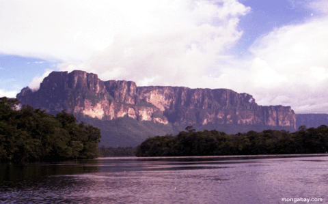 Tepui Riverview