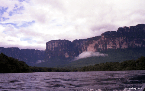 Teupi Riverview