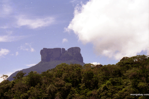 Profil De Tepui, Venezuela