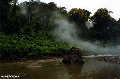 Rainforest river in Sabah