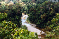 Jungle river in Borneo