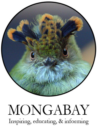 mongabay_inspiring_educating_informing_logo