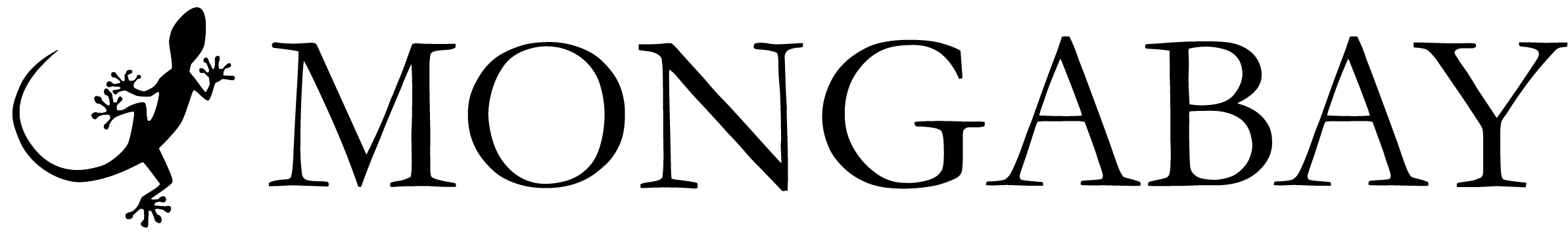 Mongabay black PNG logo without the tagline on a transparent background