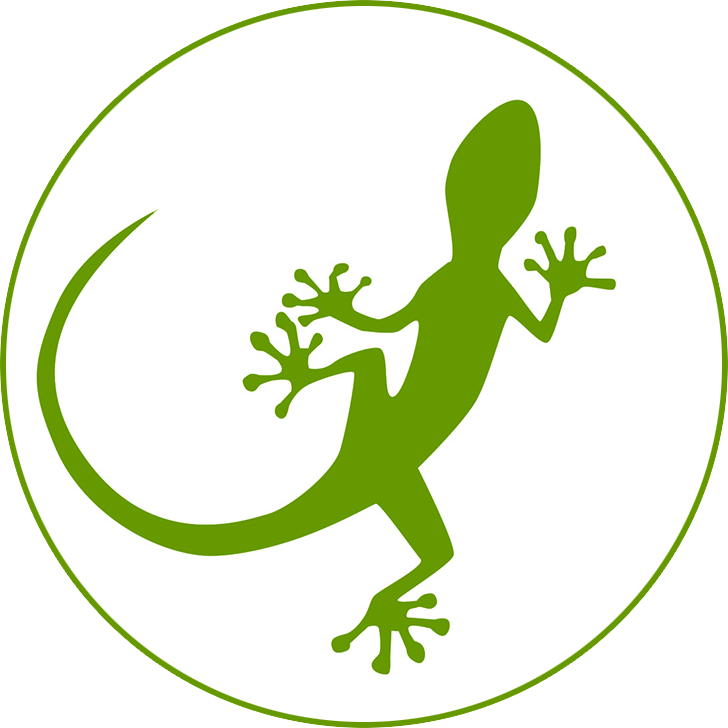 Mongabay's lizard logo with white circle area on a transparent background