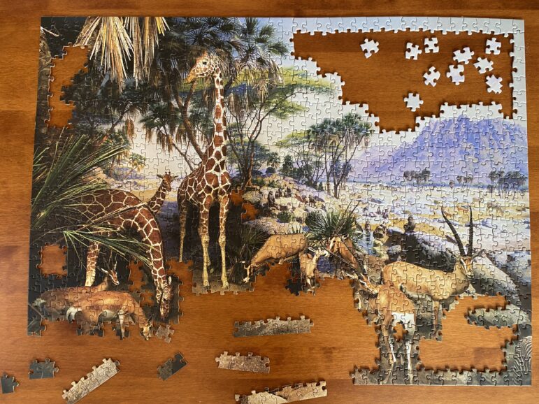 African wildlife puzzle. Image by Erik Hoffner for Mongabay.