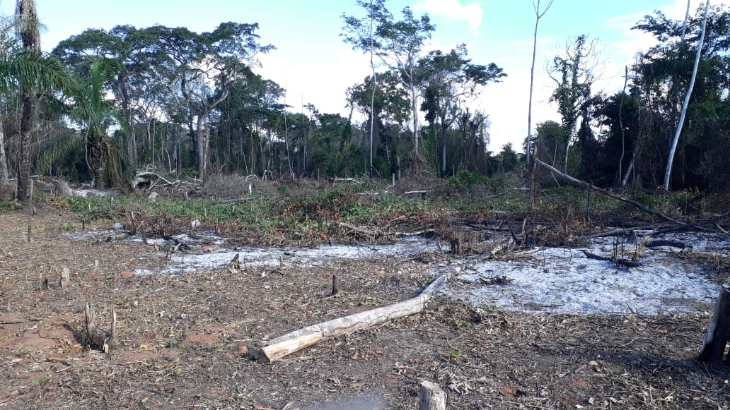 Deforestation in Bajo Paraguá. Image courtesy of the Mayor’s Office of San Ignacio de Velasco.