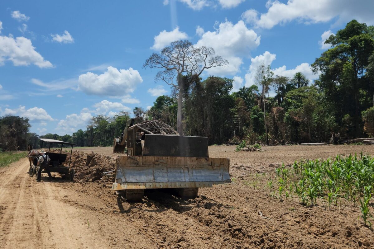 Tractors and excavators operated by Mennonite youth are clearing the forest. In a few days, these areas will be planted with soybeans and rice. (Photo: Enrique Vera/Mongabay Latam)