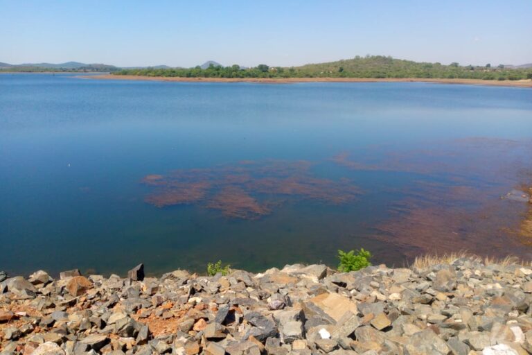 Discoloration in the Matezva dam, two weeks after a spill at the mine. Image by Tatenda Chitagu.