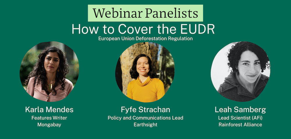EUDR webinar panelists