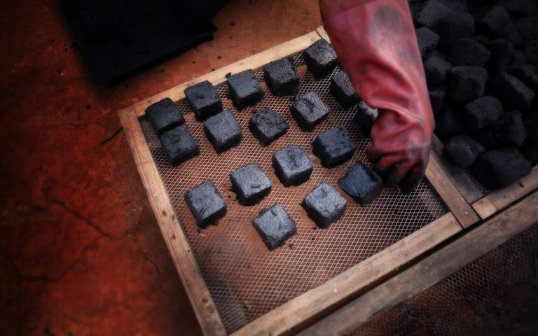 Biochar by Thomas Diego Badia.