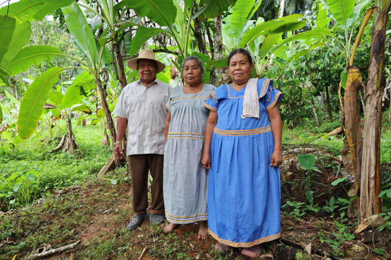 Santa Marta's traditional medicine doctors Mauricio Martínez, Elicia Martínez and Viviana Montero on a plot of land containing curative plants. Image by Adam D. Williams.