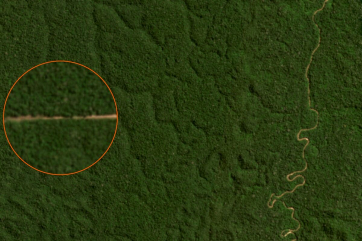 An analysis by Mongabay Latam and Earth Genome found two illegal airstrips inside the Forestal Mendoza concession. This information was confirmed by OSINFOR, the forest monitoring agency. Images courtesy of Global Forest Watch/Planet.