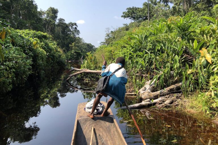 A dugout canoe crossing a wetland in Basoko territory, northern DRC. The Congo Basin has the world’s largest tropical peatlands ​​— a type of forested wetland that locks billions of tons of carbon in the soil, accumulated as semi-decayed organic matter over thousands of years. Image by Gloria Pallares/El País.