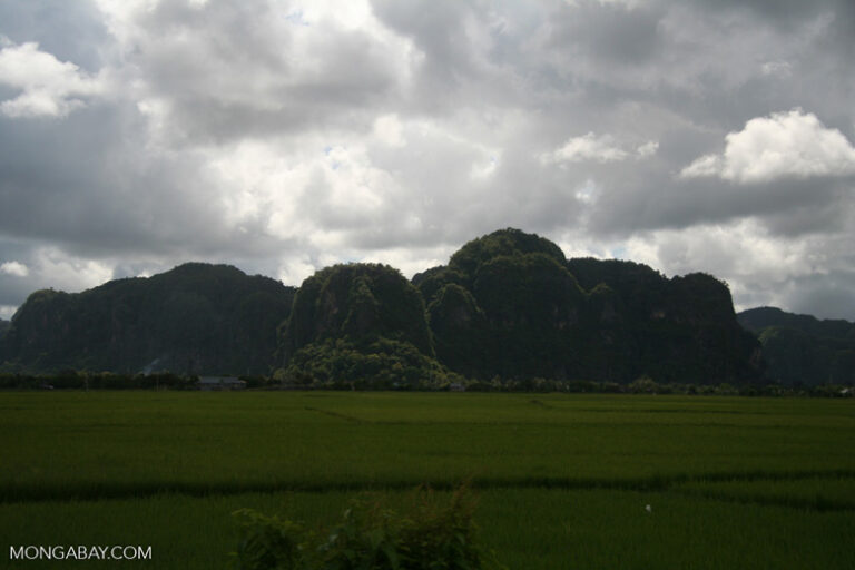 Sulawesi limestone mountains outside of Makassar (Sulawesi - Celebes)
