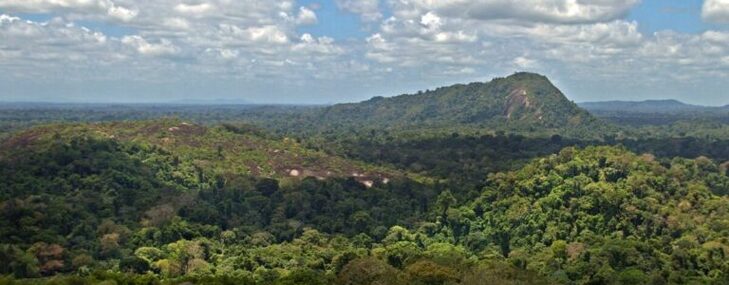 Fellowship Editor – Portuguese-Language