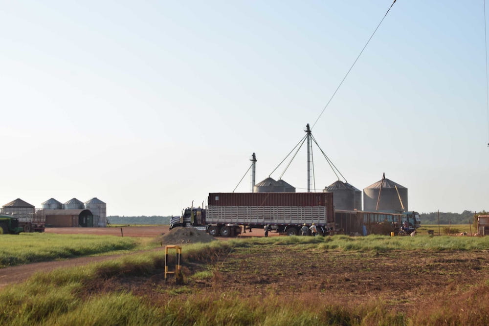 Farm infrastructure built by the Mennonite colonies named Liviney and Australia. Photo by Ana María Guzmán.