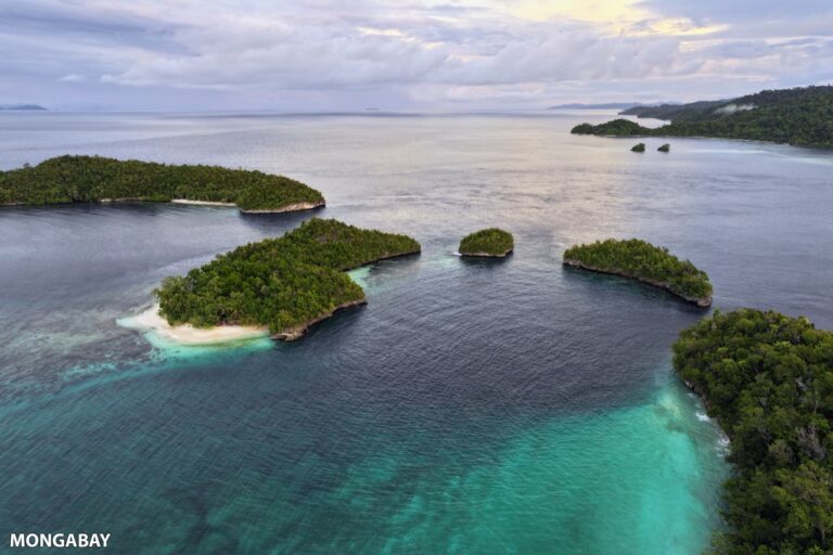 Pulau Dayang. Image by Rhett A. Butler.