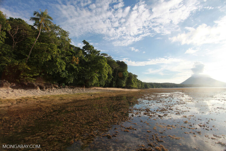 Manado Tua volcano. Image by Rhett A. Butler.
