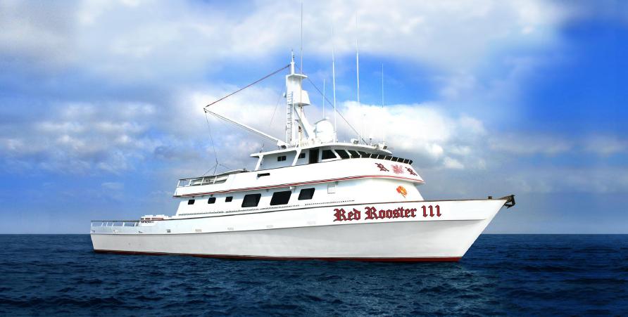 Report on illegal fishing inside North America’s largest marine protected area spurs Mexican government action