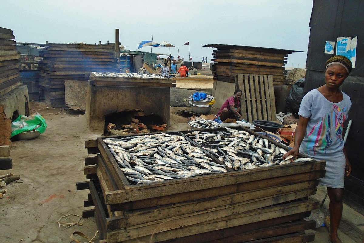 Smoking mackerel in Jamestown, Ghana. Ghanaians rely heavily on small pelagic fisheries like sardinellas, anchovies and mackerel. Image by Angela L. Rak via Wikimedia Commons (CC BY-SA 4.0).