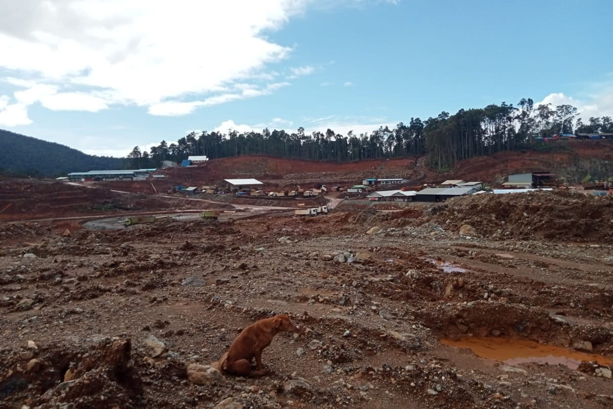 The Ake Jira forest in Central Halmahera, which has been cleared for nickel mining. Photo: Christ Belseran/Mongabay Indonesia