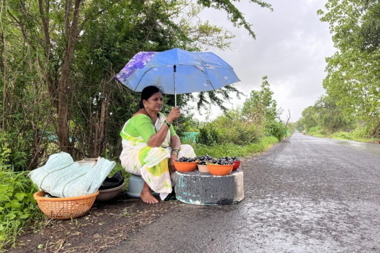 Geeta Kini, a jamun cultivator, holds an umbrella to protect the produce from heavy rainfall. She says that previously, at least 50 women would sell jamuns by the roadside. This year, there were very few of them, owing to a huge crop loss. Image by Rushikesh More.
