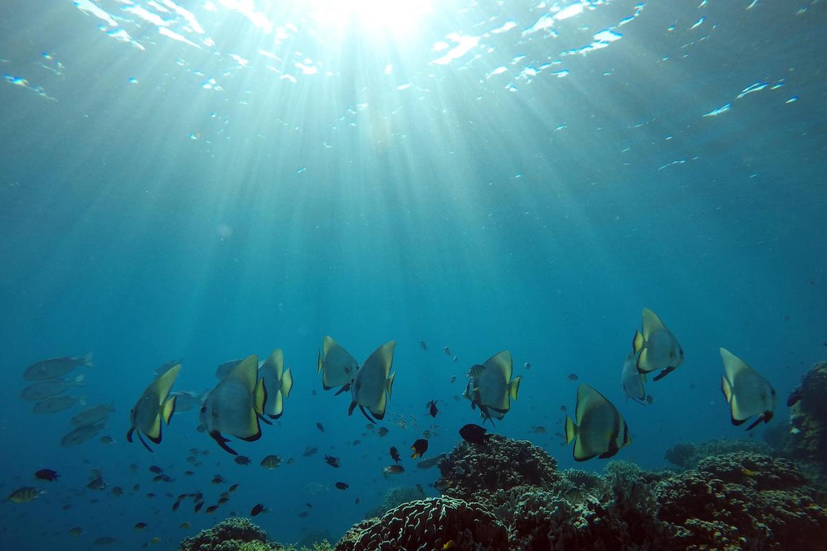 Reporting on illegal Vietnamese fishing prompts Indonesian law enforcement actions & dialogue