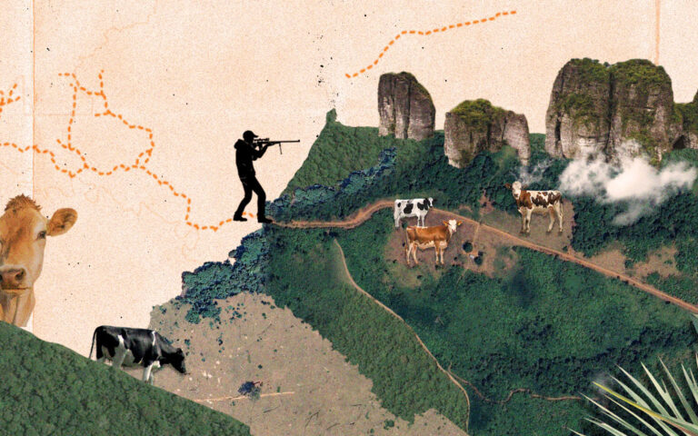 Photo caption: 1,926 kilometers (about 1,200 miles) of illegal roads analyzed by Mongabay Latam are destroying the rainforest within Indigenous reserves and protected areas of the Colombian Amazon. Illustration courtesy of Alma Ríos.