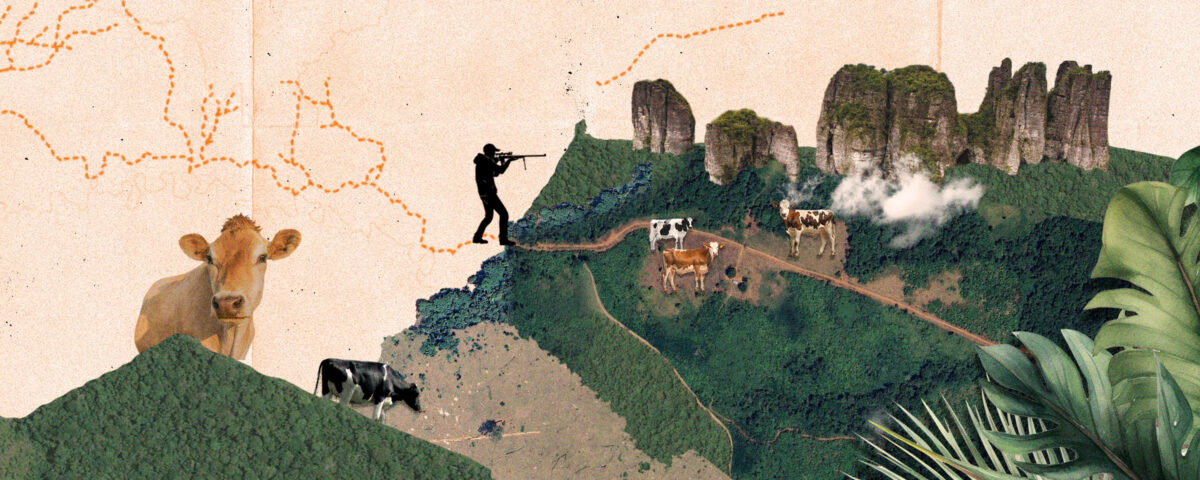 Report on illegal roads in Colombia’s Amazon captures the eye of the national congress