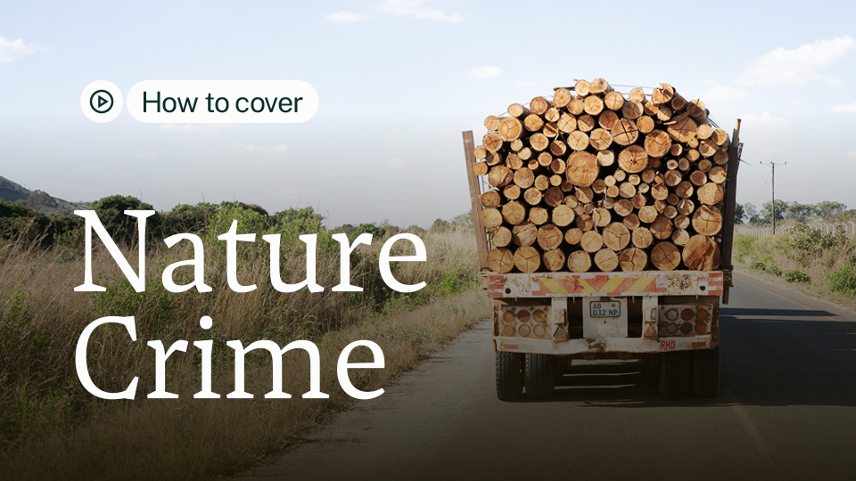 How to Cover Nature Crime - Environmental Journalism and Education