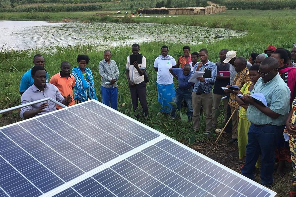 Solar irrigation systems offer a renewable and cost-effective energy source for farmers, reducing reliance on traditional power sources like here in Gatsibo, a district from Eastern Rwanda. Image by Aimable Twahirwa.