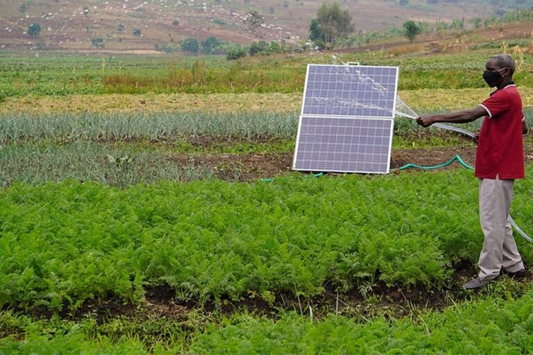 A farmer from Kirehe, Eastern Rwanda using a solar-powered irrigation system. Image by Aimable Twahirwa.