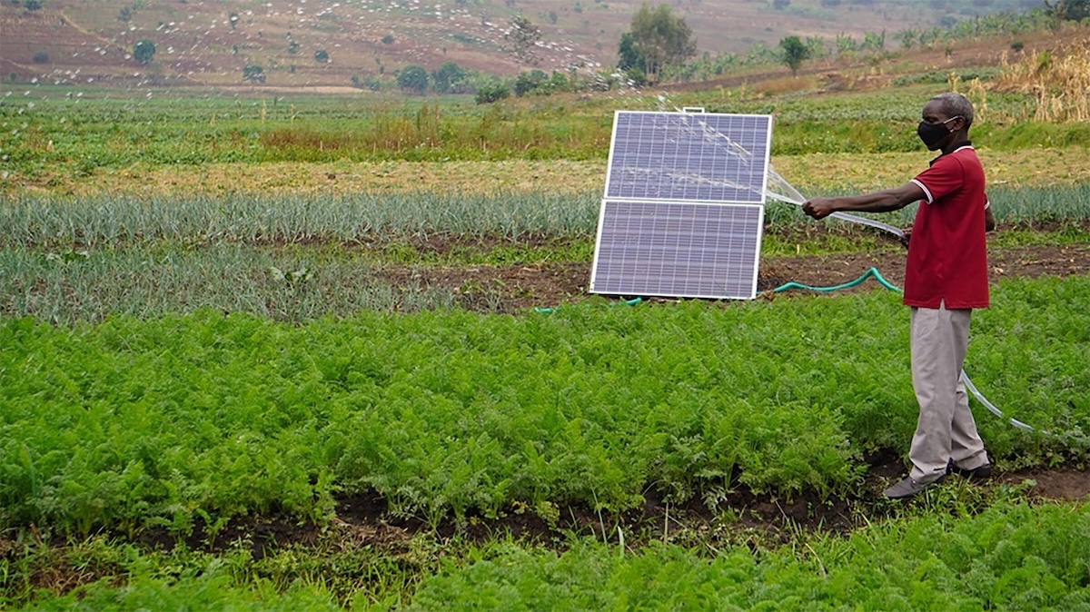 Reporting sparks interest in solar-powered agriculture across Africa