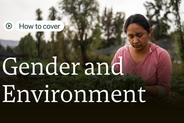 Cassandra Garduño harvests kale in her chinampa, an island farm in San Gregorio Atlapulco, Mexico City.