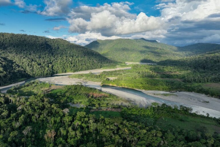 Amazon Rainforest in Peru. Photo by Rhett A. Butler/Mongabay.
