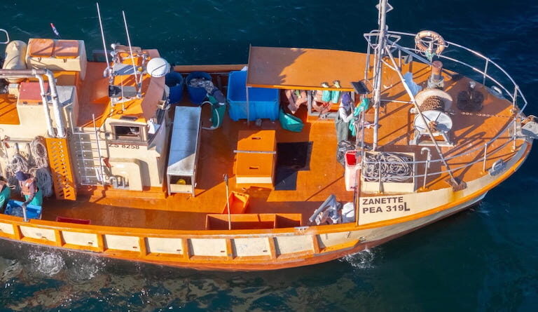 The shark longliner Zanette at sea, blue bins containing shark heads and fins on the port side. Image courtesy of Enrico Gennari.