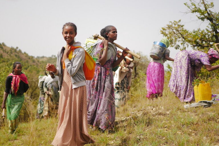 Women planting seedlings in one of the oldest remaining dry afromontane forests in Ethiopia. Photo courtesy of DVCorstanje / WeForest.