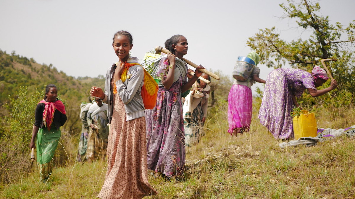 Women planting seedlings in one of the oldest remaining dry afromontane forests in Ethiopia. Photo courtesy of DVCorstanje / WeForest.