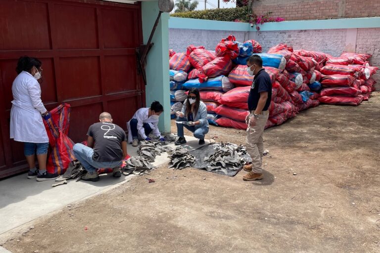 The seizure of more than 9 metric tons of shark fins in November 2025. Photo: Embajada de Estados Unidos en Lima.