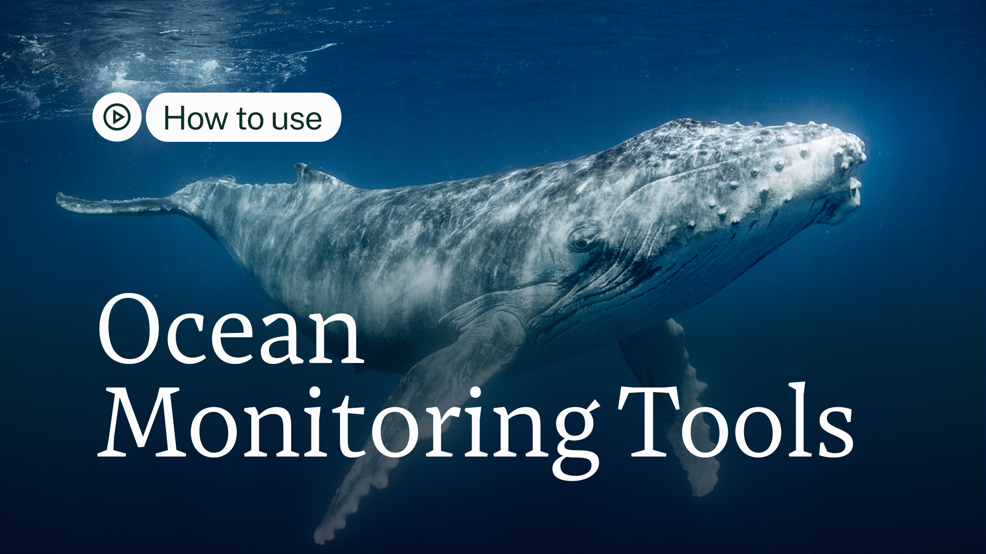 How to Use Ocean Monitoring Tools - Environmental Journalism and Education
